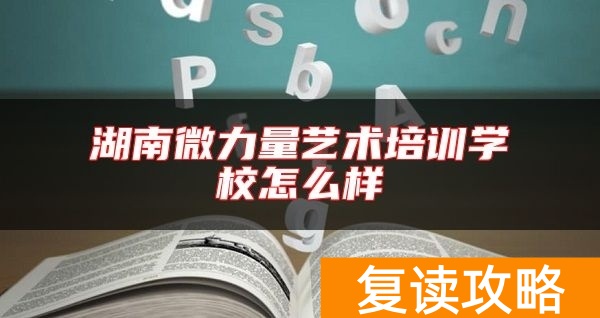 湖南微力量艺术培训学校怎么样