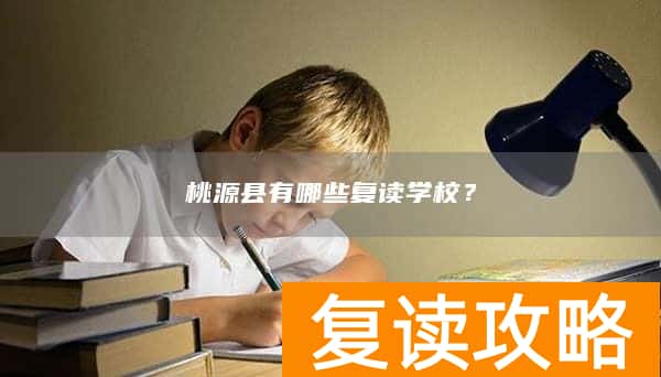 桃源县有哪些复读学校？